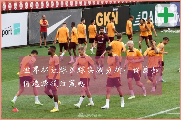 世界杯让球买球实战分析，你该如何选择投注策略