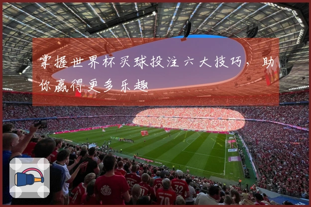 掌握世界杯买球投注六大技巧，助你赢得更多乐趣