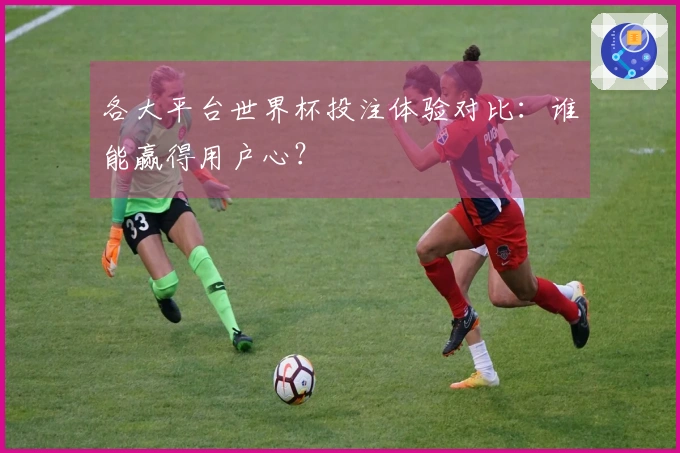 各大平台世界杯投注体验对比：谁能赢得用户心？