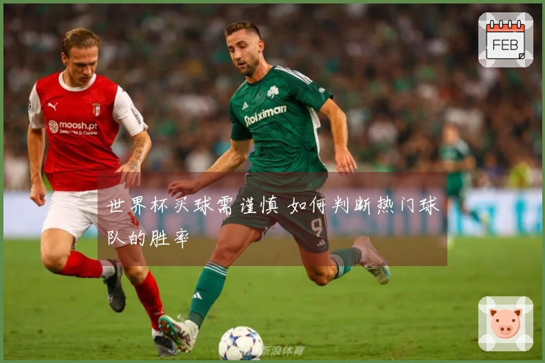 世界杯买球需谨慎 如何判断热门球队的胜率