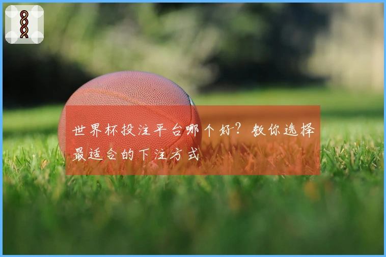 世界杯投注平台哪个好？教你选择最适合的下注方式