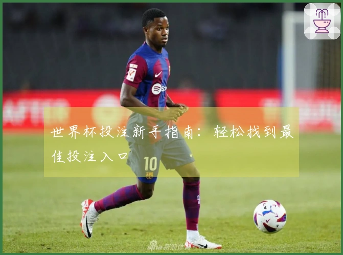 世界杯投注新手指南：轻松找到最佳投注入口