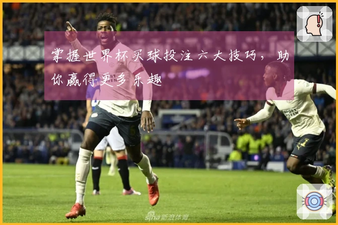 掌握世界杯买球投注六大技巧，助你赢得更多乐趣