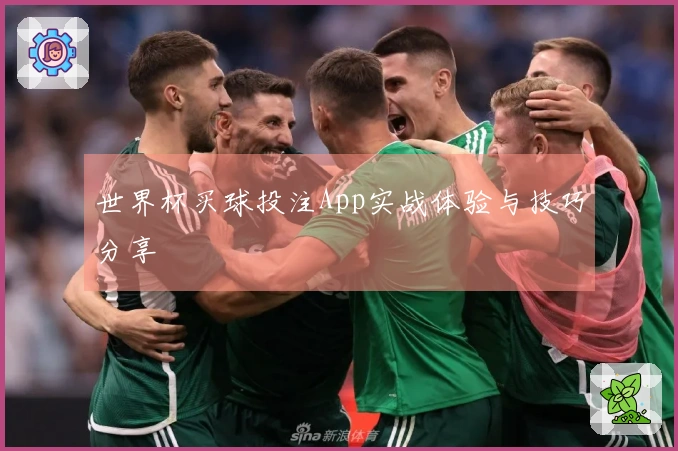 世界杯买球投注App实战体验与技巧分享