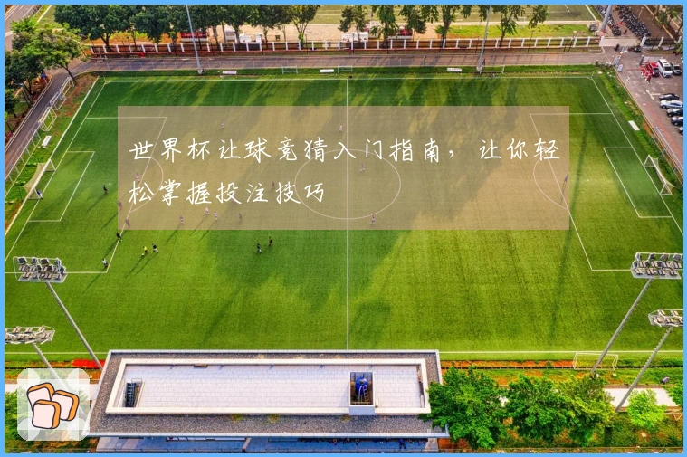 世界杯让球竞猜入门指南，让你轻松掌握投注技巧