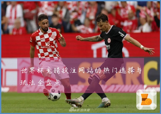 世界杯竞猜投注网站的热门选择与玩法全盘点