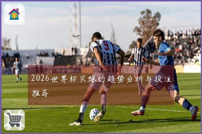 2026世界杯买球的趋势分析与投注推荐